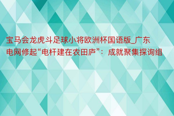 宝马会龙虎斗足球小将欧洲杯国语版_广东电网修起“电杆建在农田庐”：成就聚集探询组