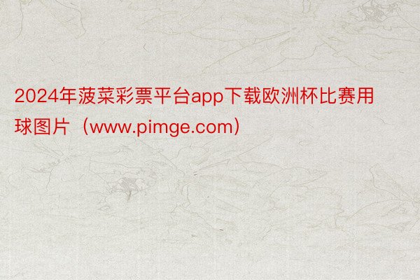 2024年菠菜彩票平台app下载欧洲杯比赛用球图片（www.pimge.com）