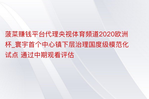 菠菜赚钱平台代理央视体育频道2020欧洲杯_寰宇首个中心镇下层治理国度级模范化试点 通过中期观看评估